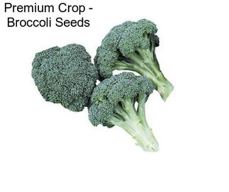 Premium Crop - Broccoli Seeds