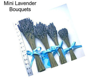 Mini Lavender Bouquets