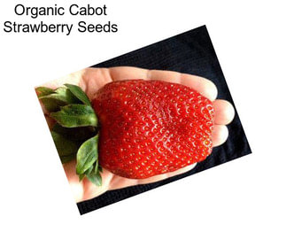 Organic Cabot Strawberry Seeds