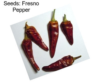 Seeds: Fresno Pepper
