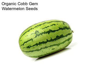 Organic Cobb Gem Watermelon Seeds