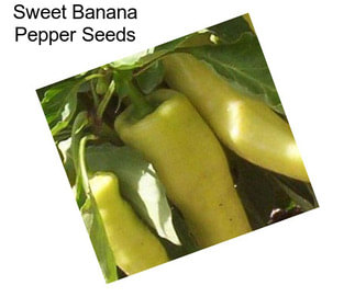 Sweet Banana Pepper Seeds