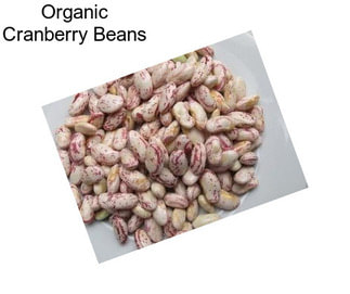 Organic Cranberry Beans