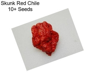 Skunk Red Chile 10+ Seeds