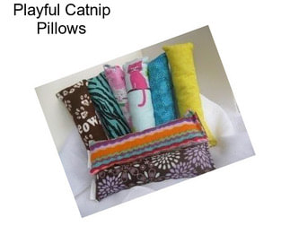 Playful Catnip Pillows