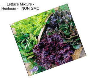 Lettuce Mixture - Heirloom -   NON GMO