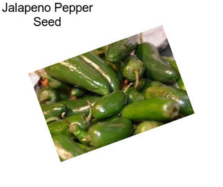 Jalapeno Pepper Seed