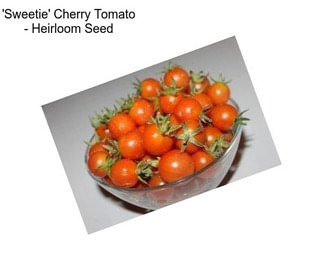 \'Sweetie\' Cherry Tomato - Heirloom Seed