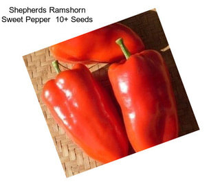 Shepherds Ramshorn Sweet Pepper  10+ Seeds
