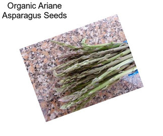 Organic Ariane Asparagus Seeds