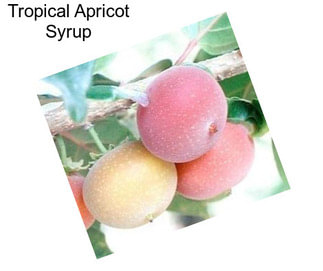 Tropical Apricot Syrup