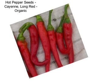 Hot Pepper Seeds - Cayenne, Long Red - Organic