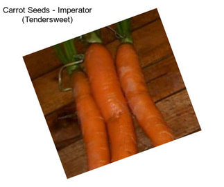 Carrot Seeds - Imperator (Tendersweet)