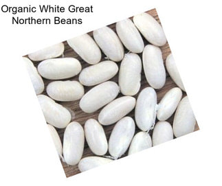 Organic White Great Northern Beans