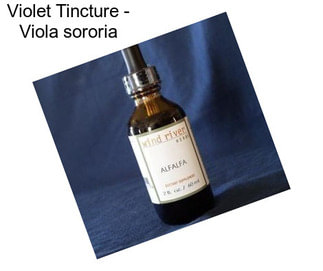 Violet Tincture - Viola sororia