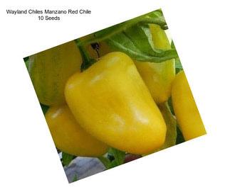 Wayland Chiles Manzano Red Chile 10 Seeds