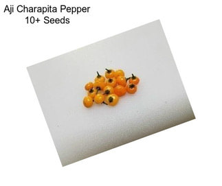 Aji Charapita Pepper 10+ Seeds