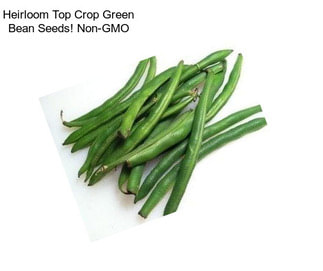 Heirloom Top Crop Green Bean Seeds! Non-GMO