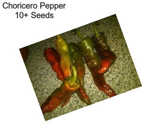 Choricero Pepper 10+ Seeds