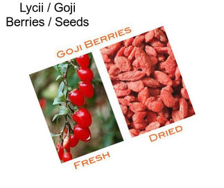 Lycii / Goji Berries / Seeds