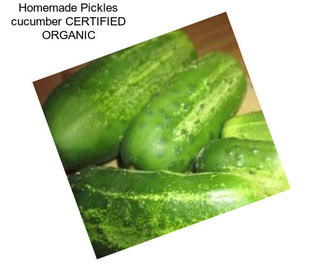 Homemade Pickles cucumber CERTIFIED ORGANIC