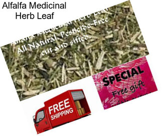 Alfalfa Medicinal Herb Leaf