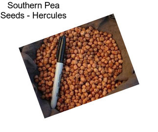 Southern Pea Seeds - Hercules