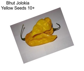 Bhut Jolokia Yellow Seeds 10+