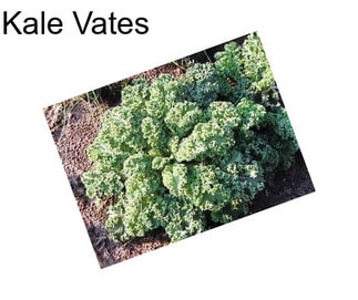 Kale Vates