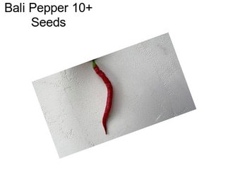 Bali Pepper 10+ Seeds