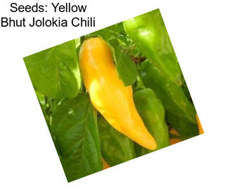 Seeds: Yellow Bhut Jolokia Chili