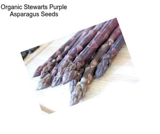 Organic Stewarts Purple Asparagus Seeds