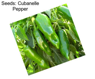 Seeds: Cubanelle Pepper