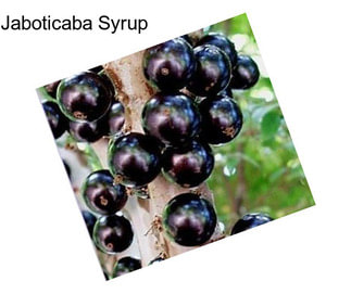 Jaboticaba Syrup