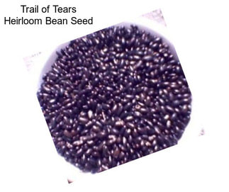 Trail of Tears Heirloom Bean Seed