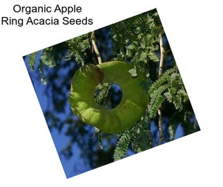 Organic Apple Ring Acacia Seeds