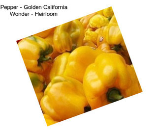 Pepper - Golden California Wonder - Heirloom