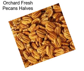 Orchard Fresh Pecans Halves