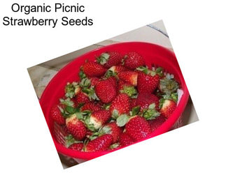Organic Picnic Strawberry Seeds