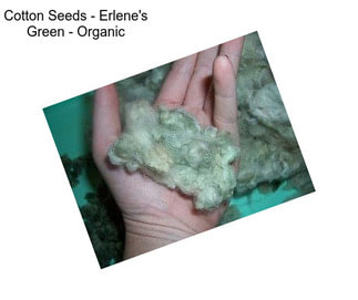 Cotton Seeds - Erlene\'s Green - Organic