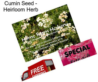Cumin Seed - Heirloom Herb
