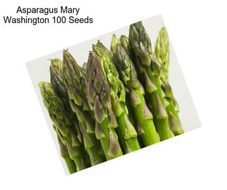Asparagus Mary Washington 100 Seeds