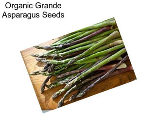 Organic Grande Asparagus Seeds