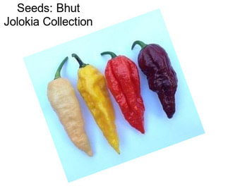 Seeds: Bhut Jolokia Collection