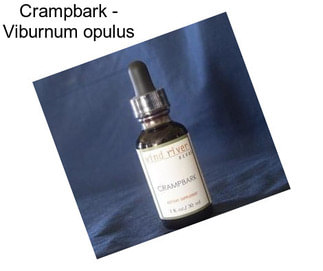 Crampbark - Viburnum opulus