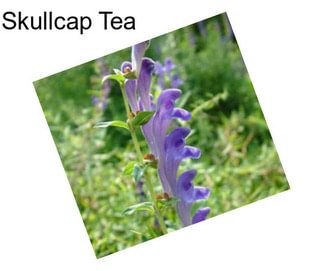 Skullcap Tea