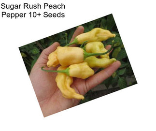 Sugar Rush Peach Pepper 10+ Seeds