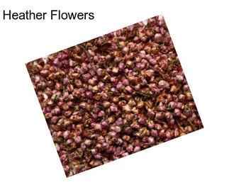 Heather Flowers