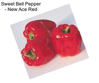 Sweet Bell Pepper - New Ace Red