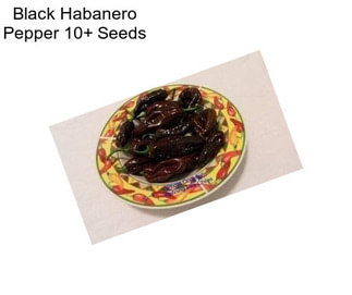 Black Habanero Pepper 10+ Seeds 